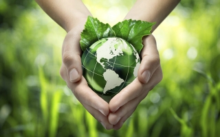Eckpunkte eines ökologisch tragfähigen Wohlfahrtskonzepts als Grundlage für umweltpolitische Innovations- und Transformationsprozesse